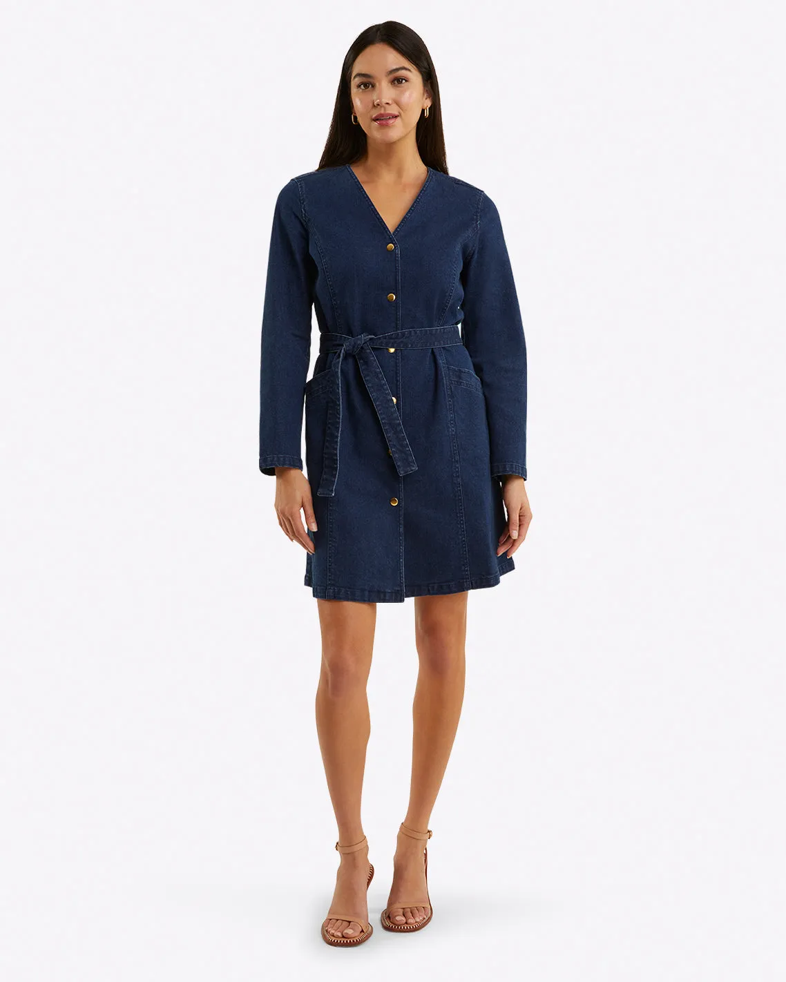 Colbie Snap Front Dress in Denim