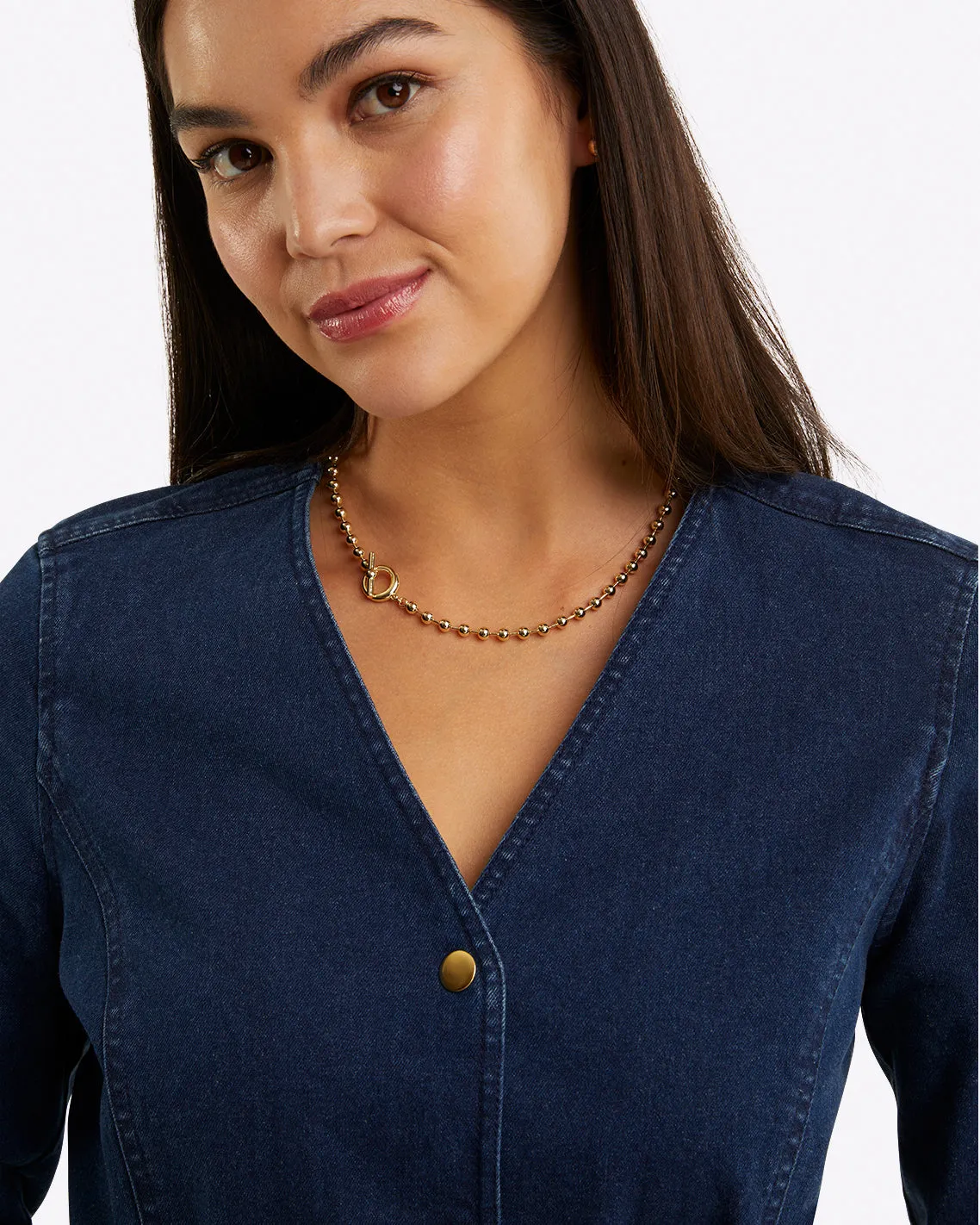 Colbie Snap Front Dress in Denim