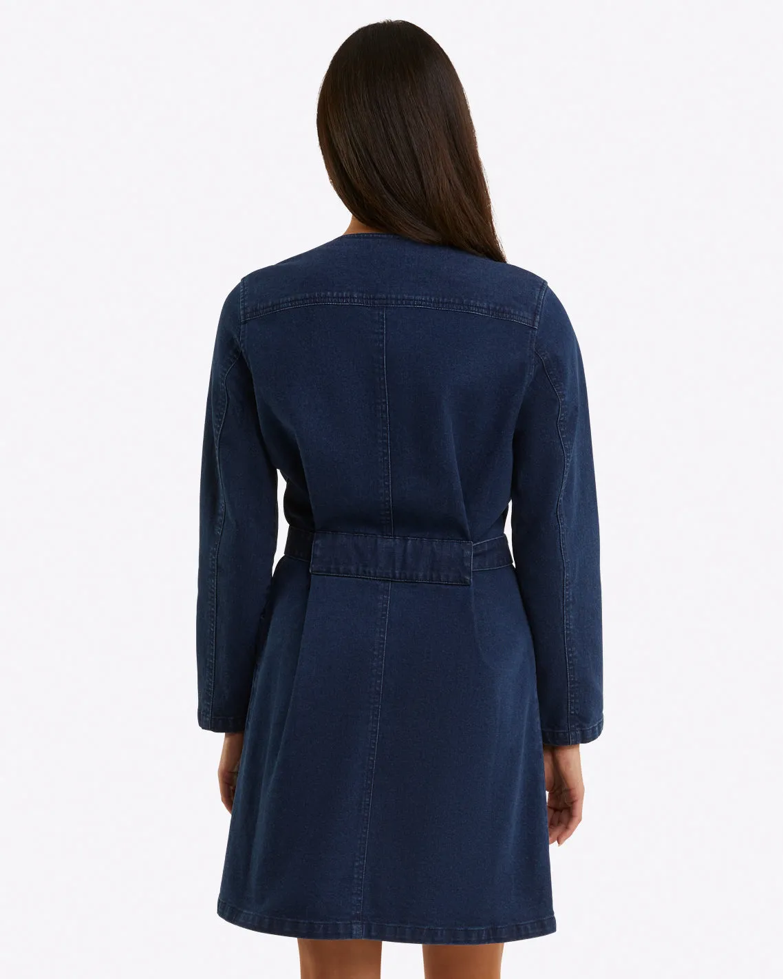 Colbie Snap Front Dress in Denim