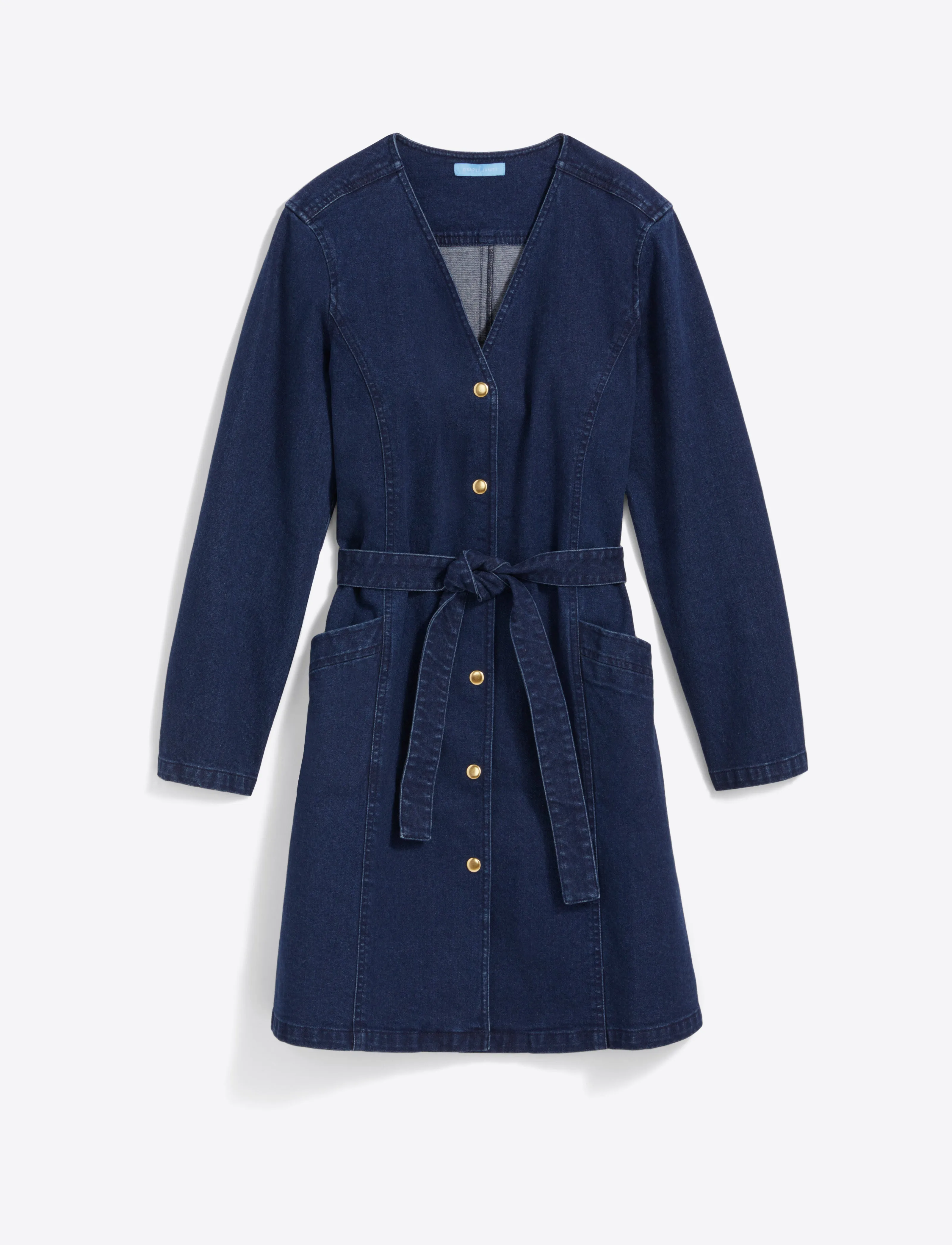 Colbie Snap Front Dress in Denim