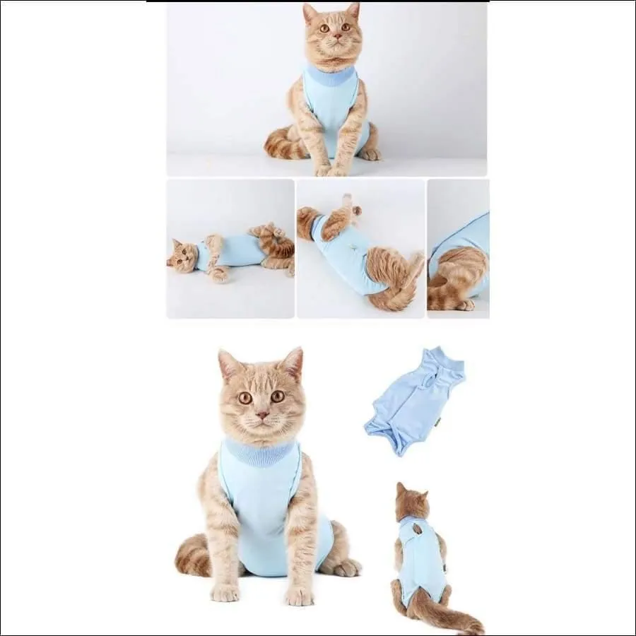 Pet Surgical Recovery Suit After Spay, Neuter or Injury Cat or Small Dog