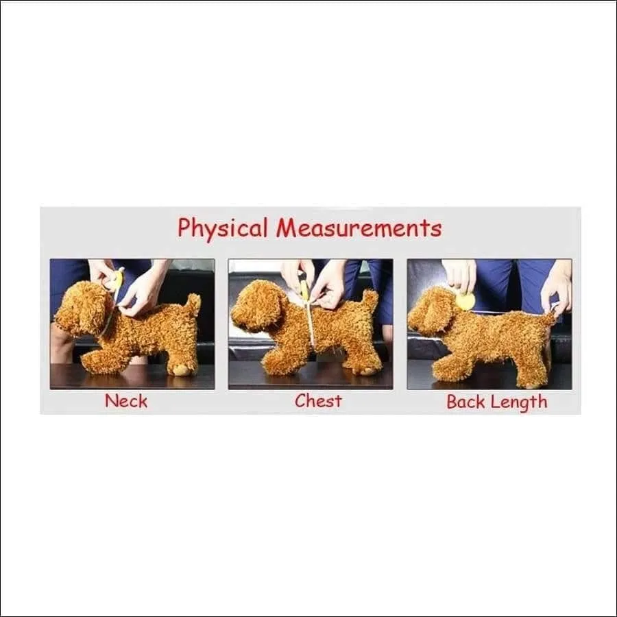 Pet Surgical Recovery Suit After Spay, Neuter or Injury Cat or Small Dog