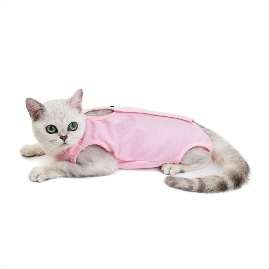 Pet Surgical Recovery Suit After Spay, Neuter or Injury Cat or Small Dog
