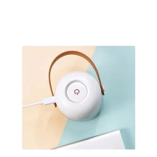 Rechargeable Lint Remover