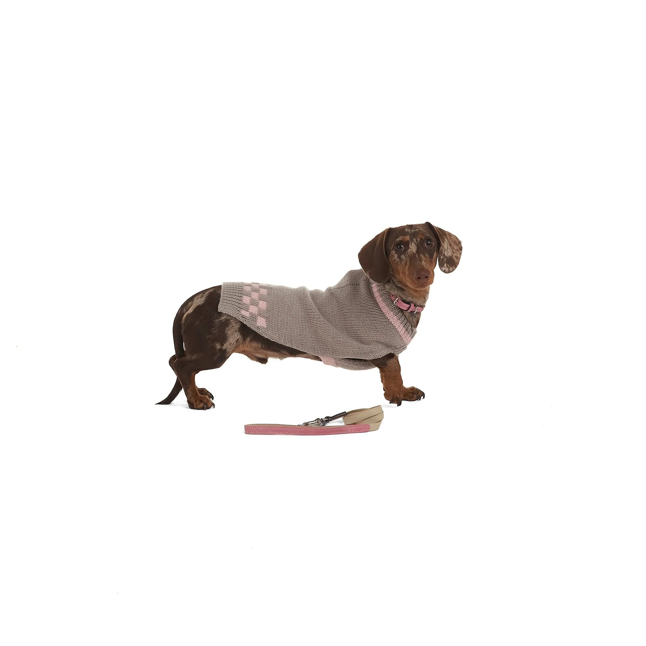 Shogi Merino Dog Pullover